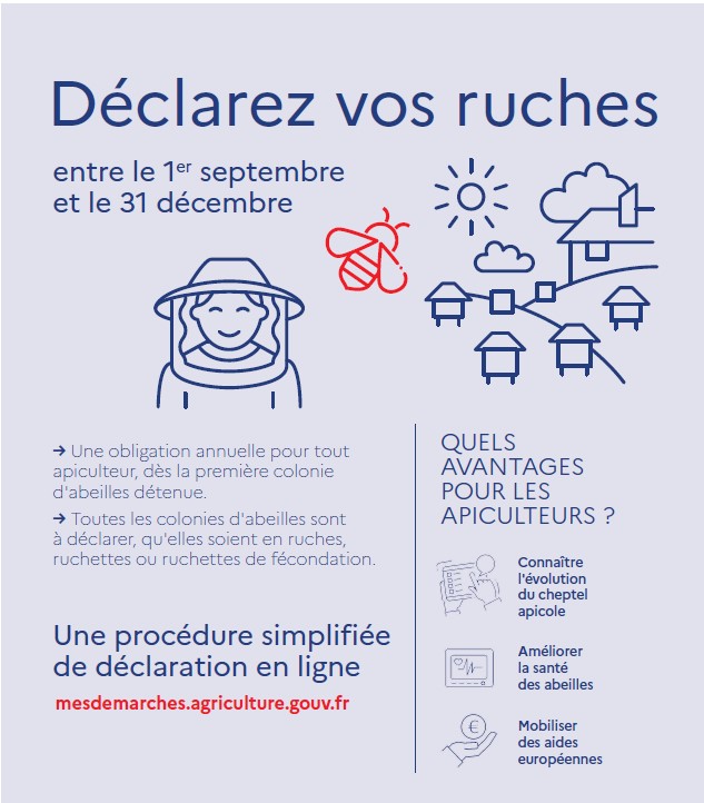 20241214_Declarer_une_ruche.jpg