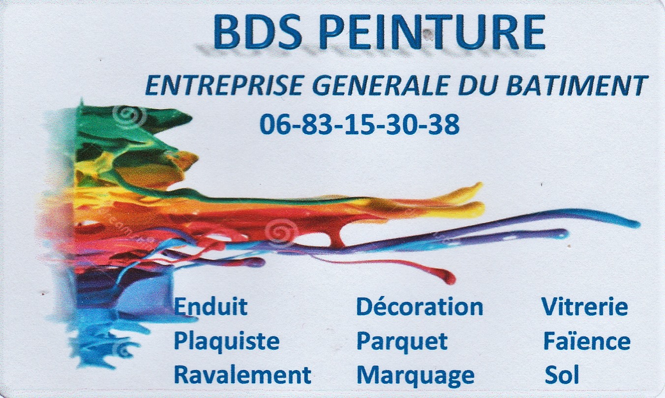 BDS peinture 2.jpg