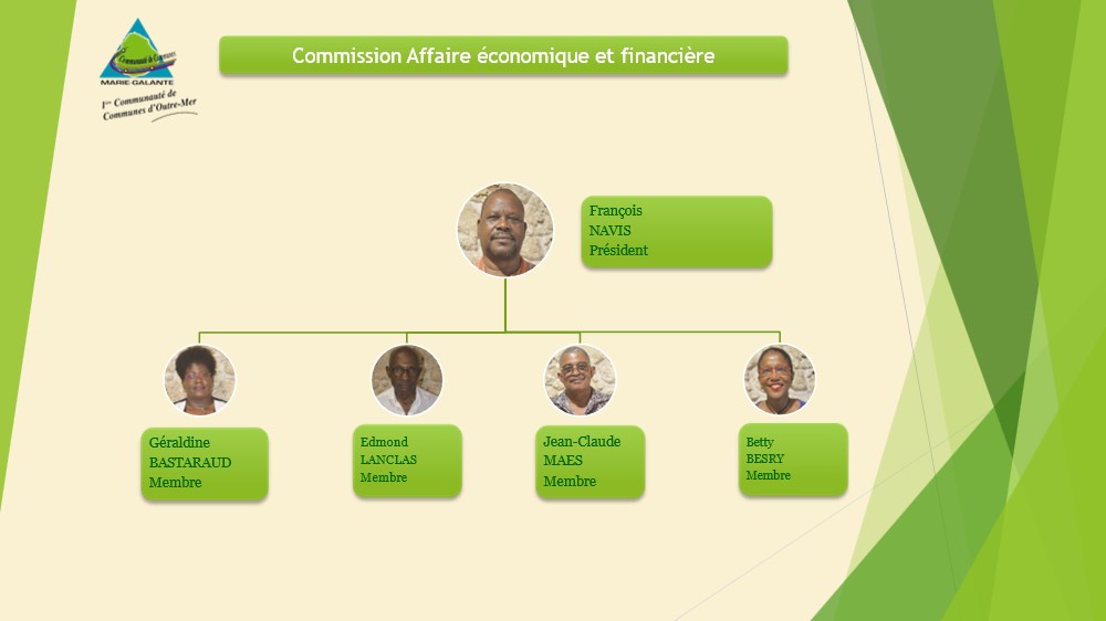 Commission affaire économique et financière.jpg