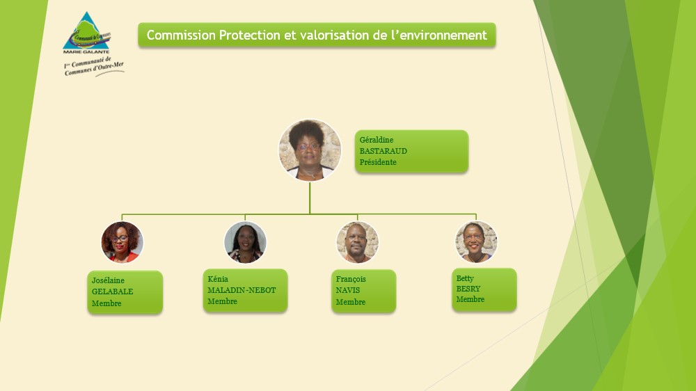 Commission protection et valorisation de l_environnement.jpg