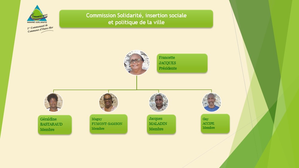 Commission solidarité, insertion sociale et politique de la ville.jpg