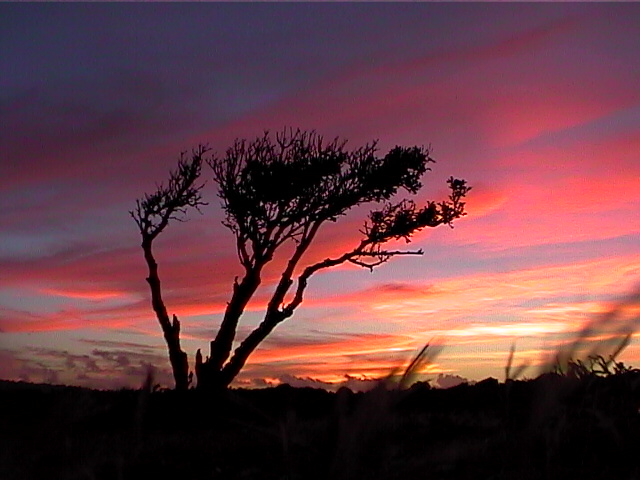Falaises de MG 2.jpg