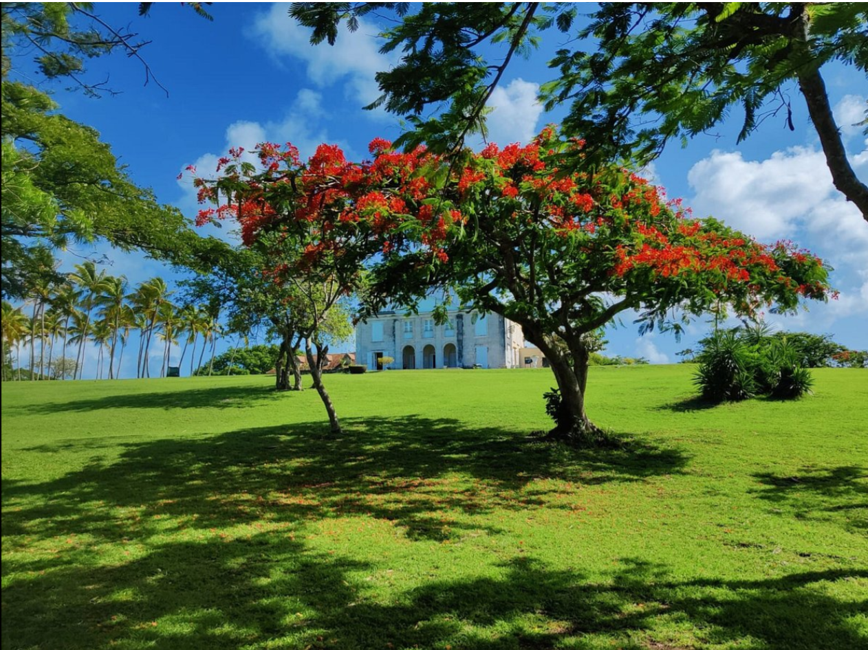 É_comusée Murat.png