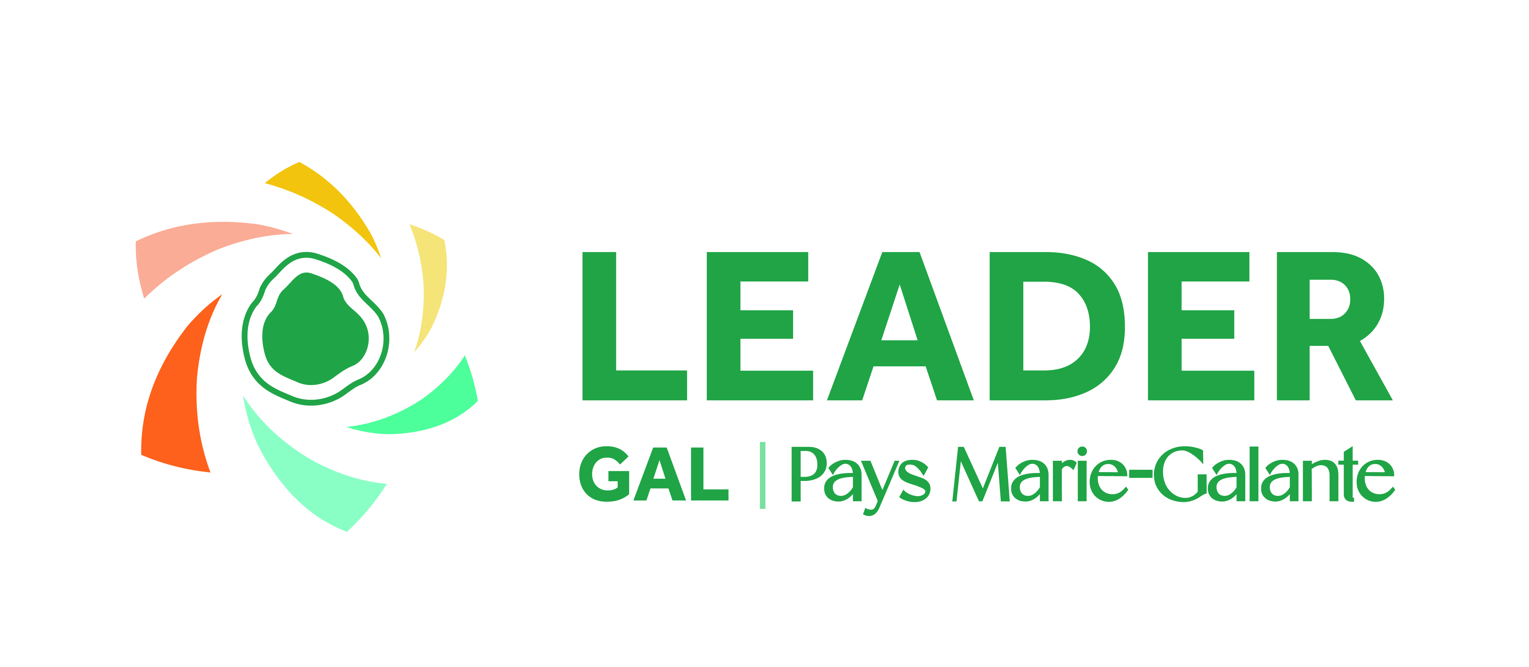 Logo_LEADER_Horizontal_RVB.jpg