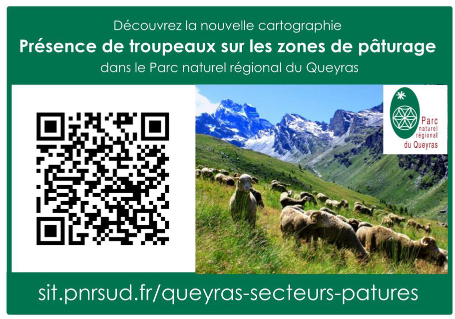 QR code troupeau.png