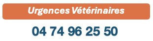 Urgences Vétérinaires.png