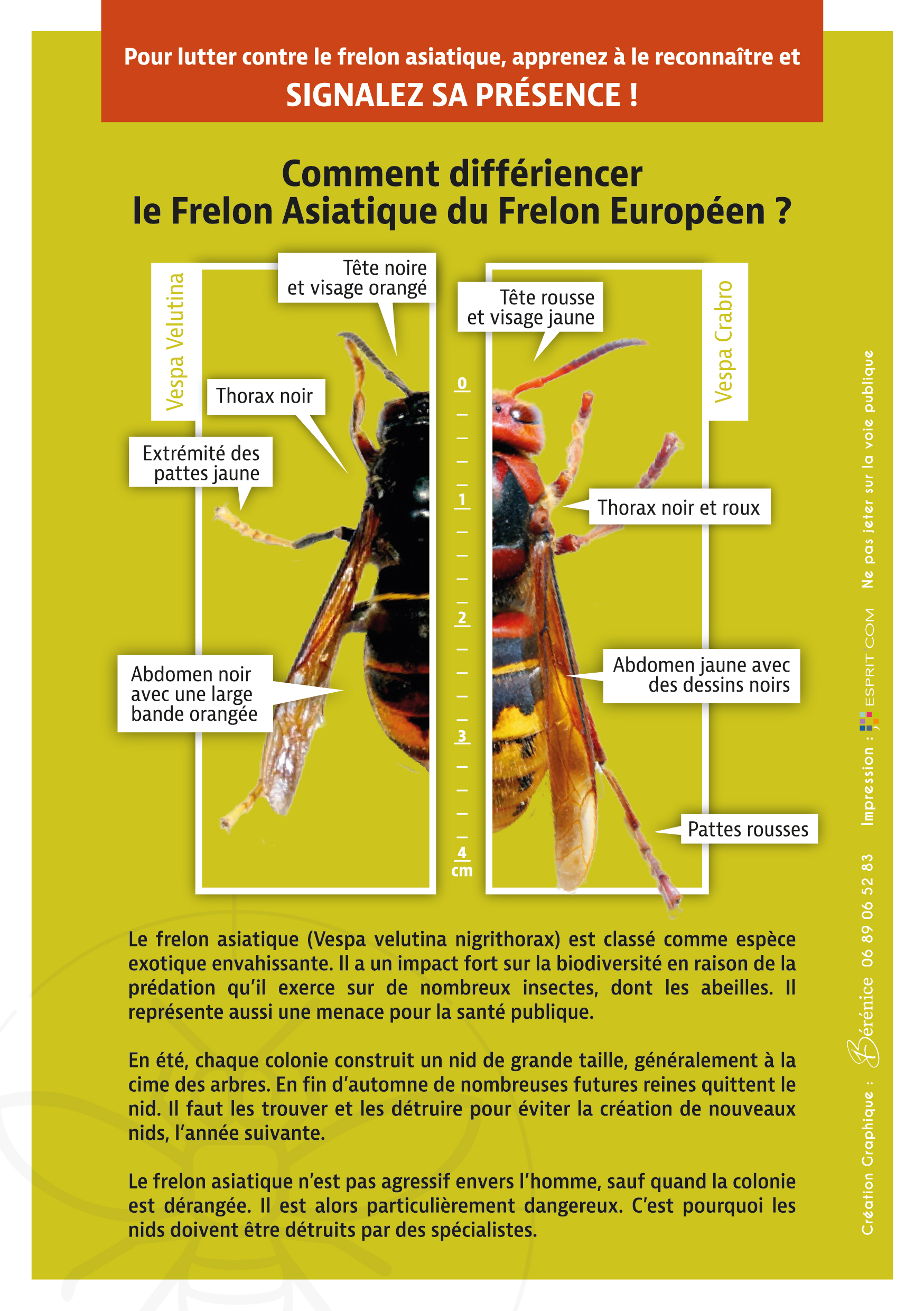Flyers verso 148x210mm www.frelonsasiatiques.fr_2023-02.jpg