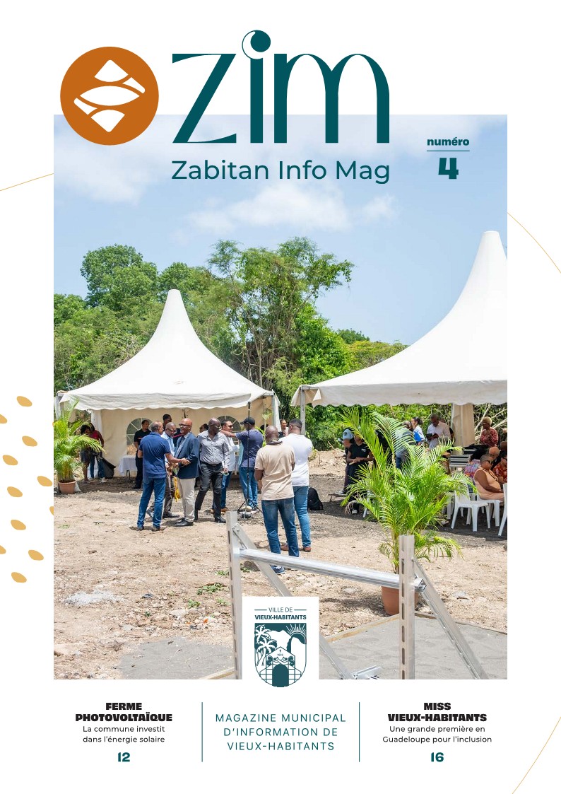 ZIM_Mag_n4_1.jpg