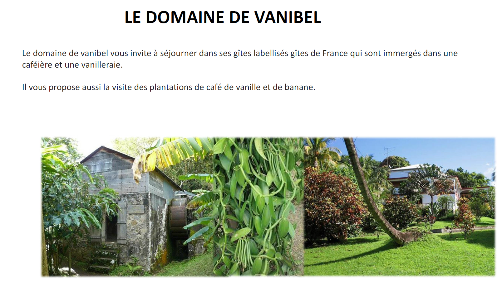 domaine de vanibel.png