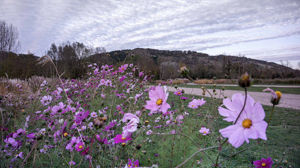 Capture d’écran 2023-11-16 à 15.35.42.png