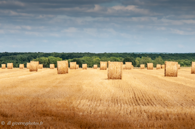 DL_12082013_DL_12082013_DL_12082013__DSC3190 - 2013-08-12 à 15-47-52.jpg