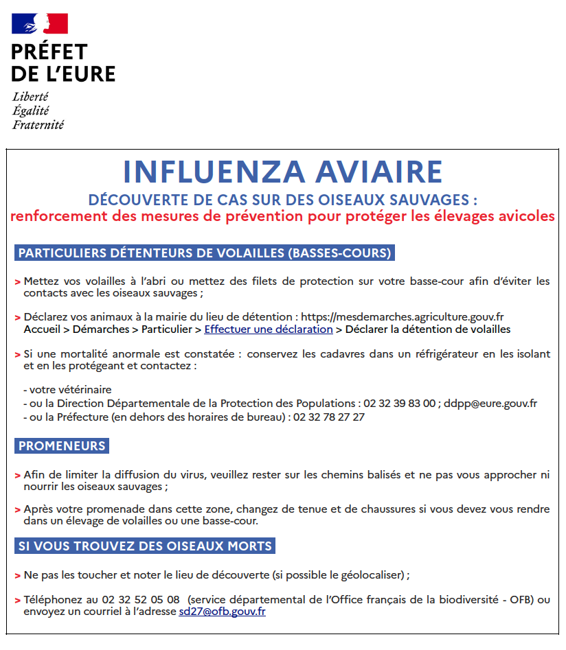 Affichette aviaire.png