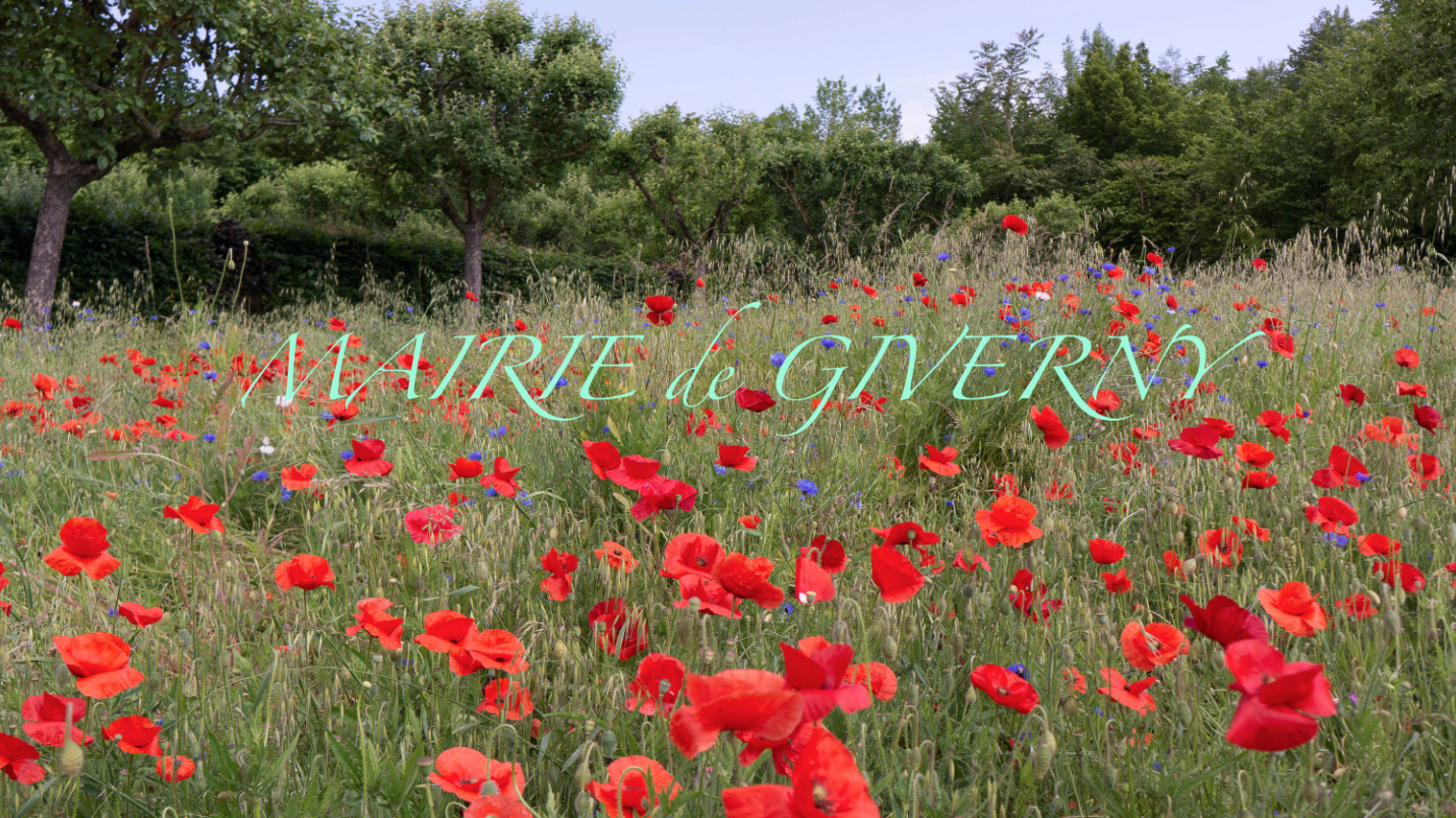 Capture d’écran 2023-11-16 à 15.37.35.png