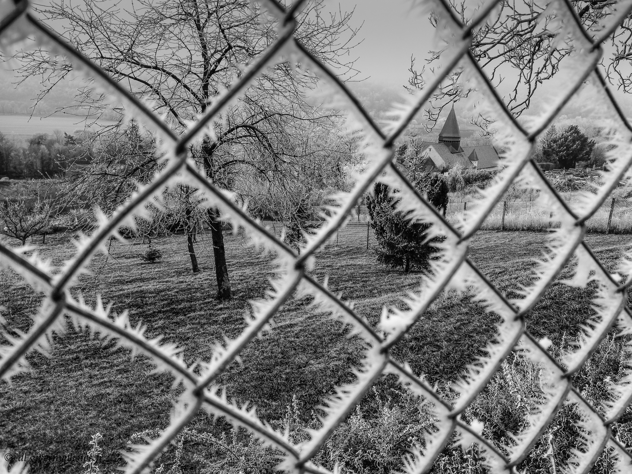 Une matinée d_hiver 2.jpg