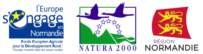 Capture d’écran 2022-07-19 à 00.13.02.png