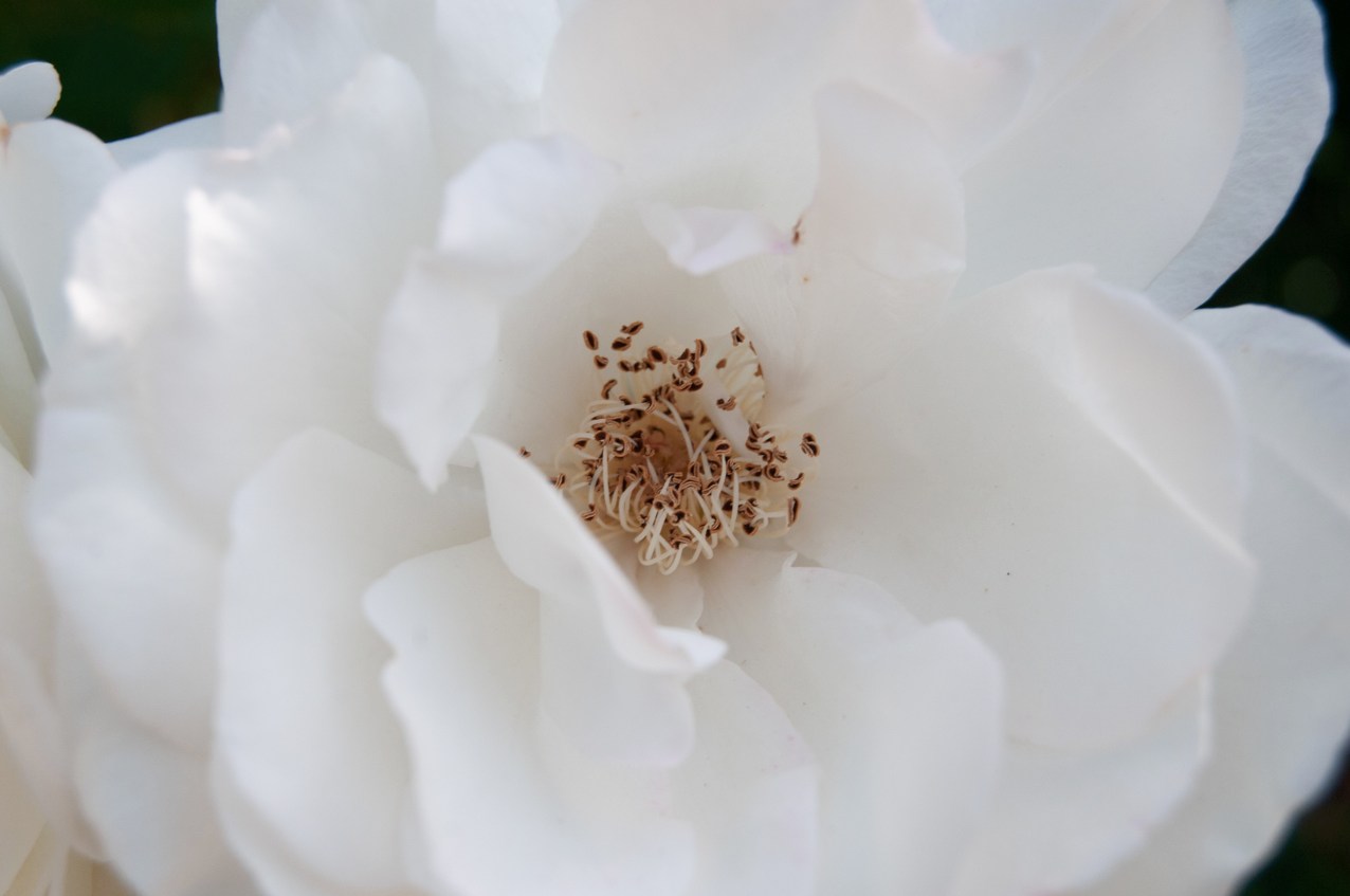 Capture d’écran 2023-11-16 à 15.34.53.png