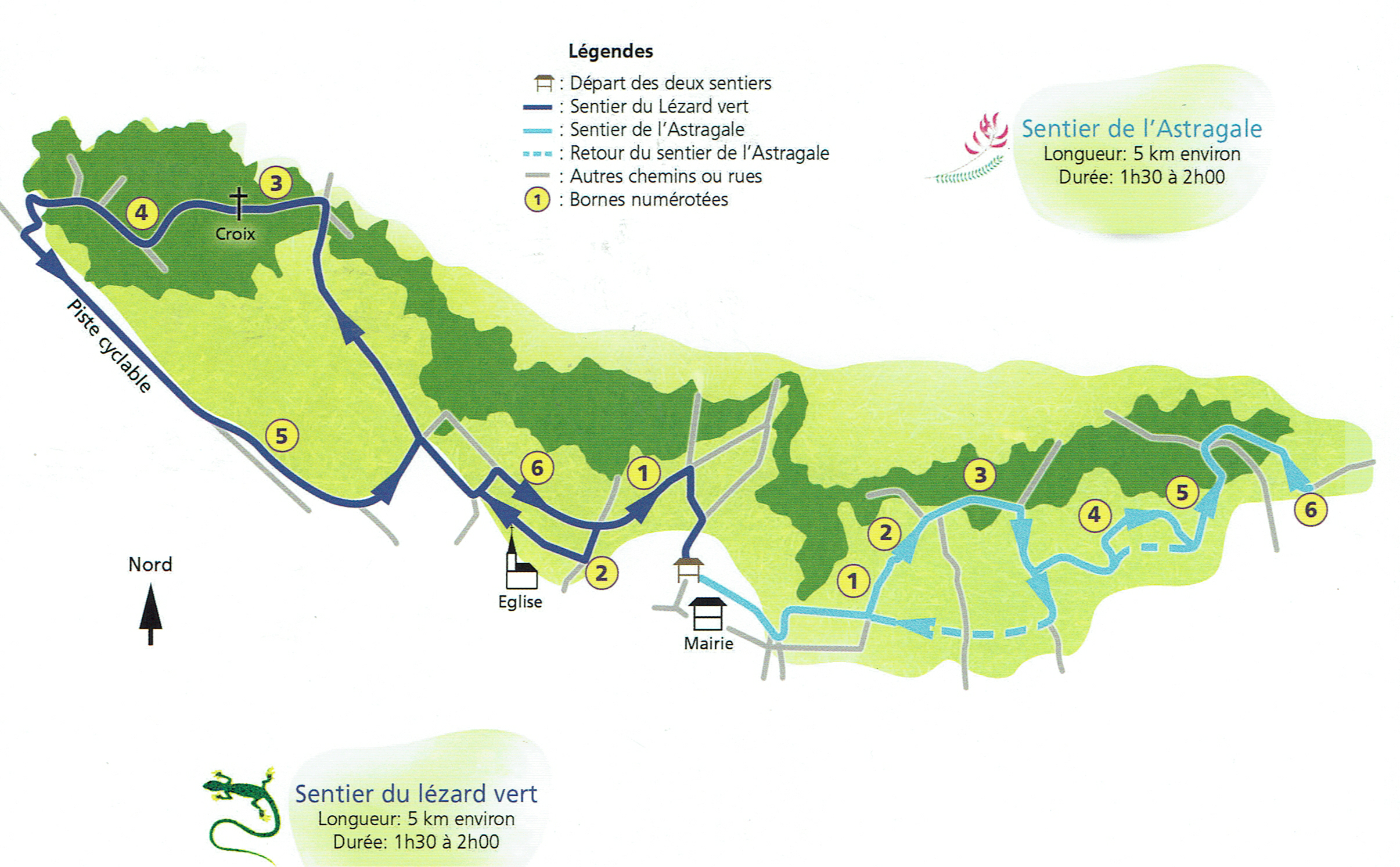 Sentiers astral et lezard vert .png