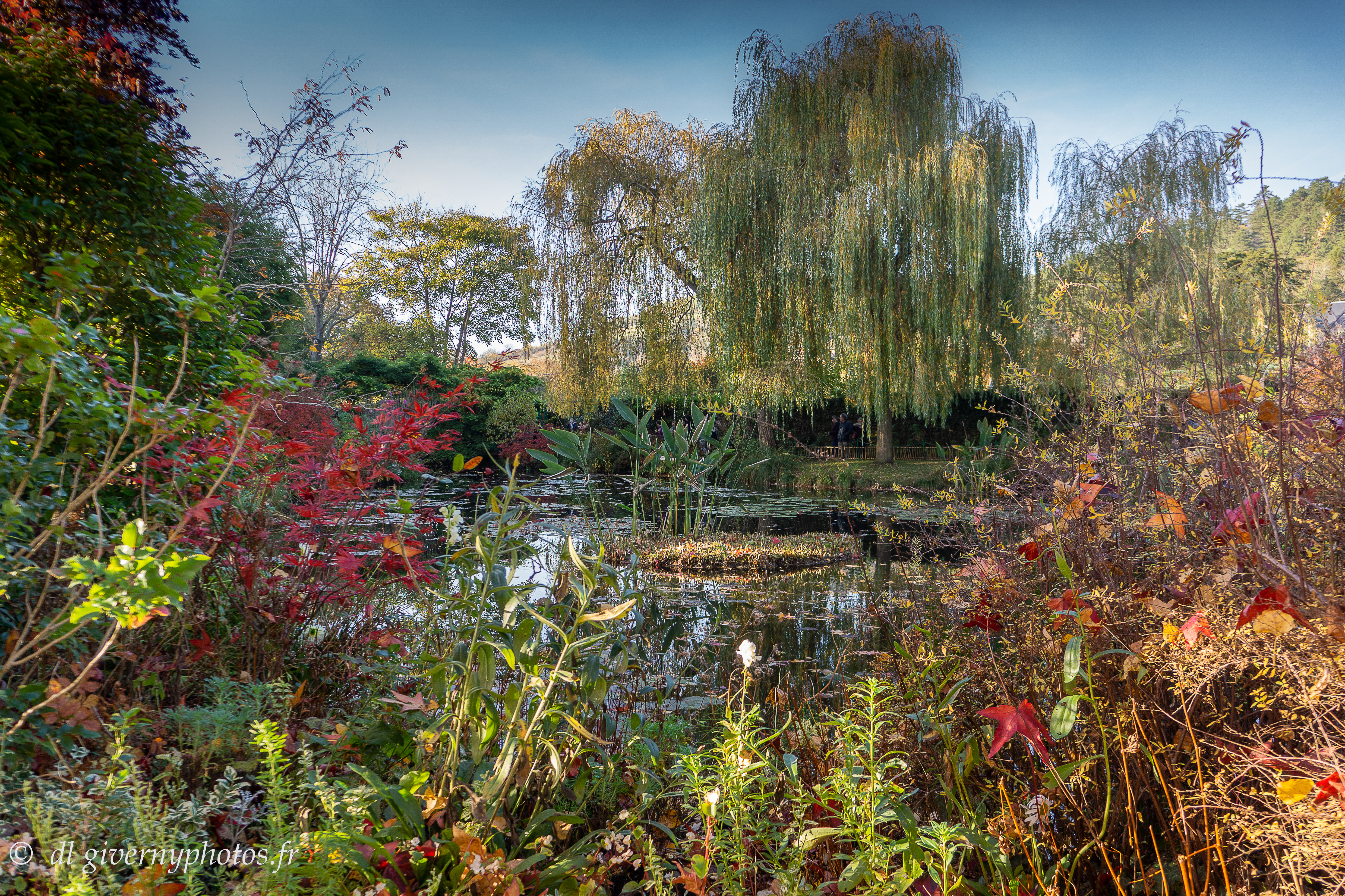 Jardin d'eau