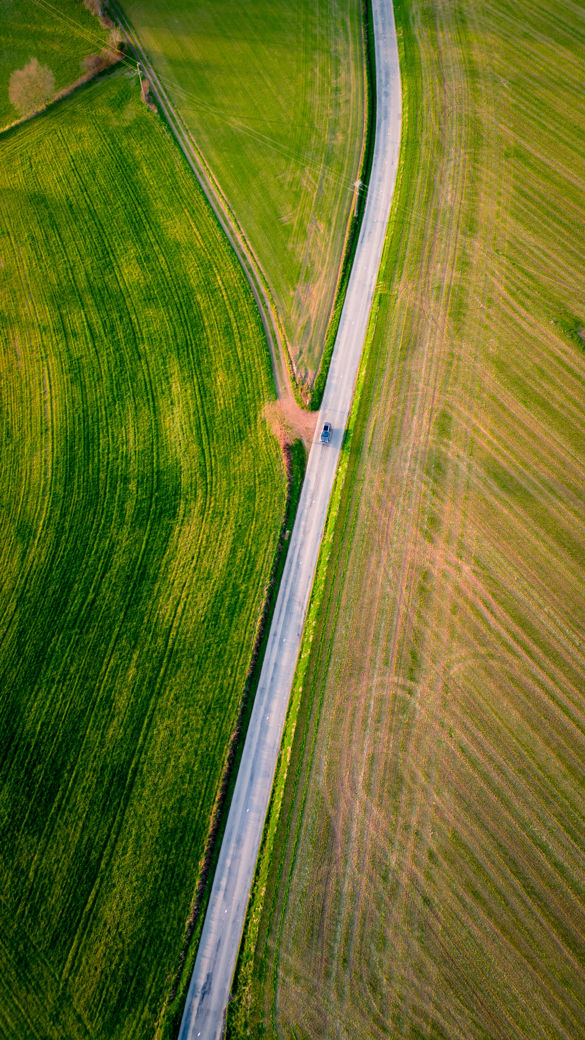 DJI_0199.jpg