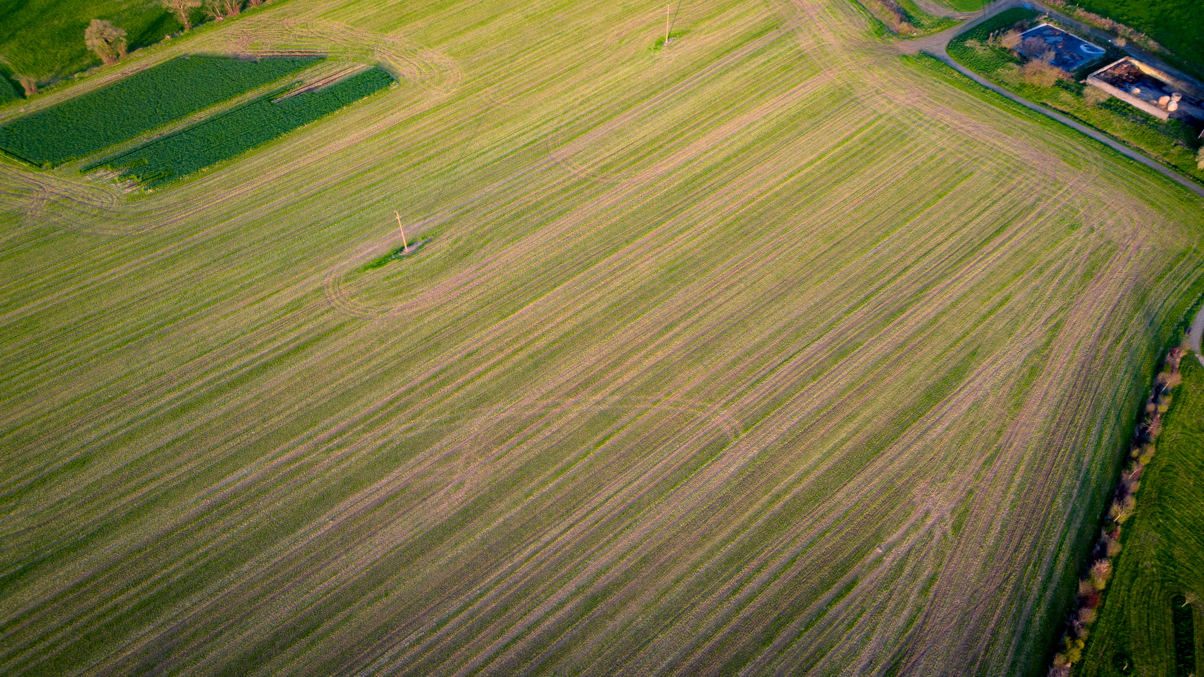 DJI_0201.jpg
