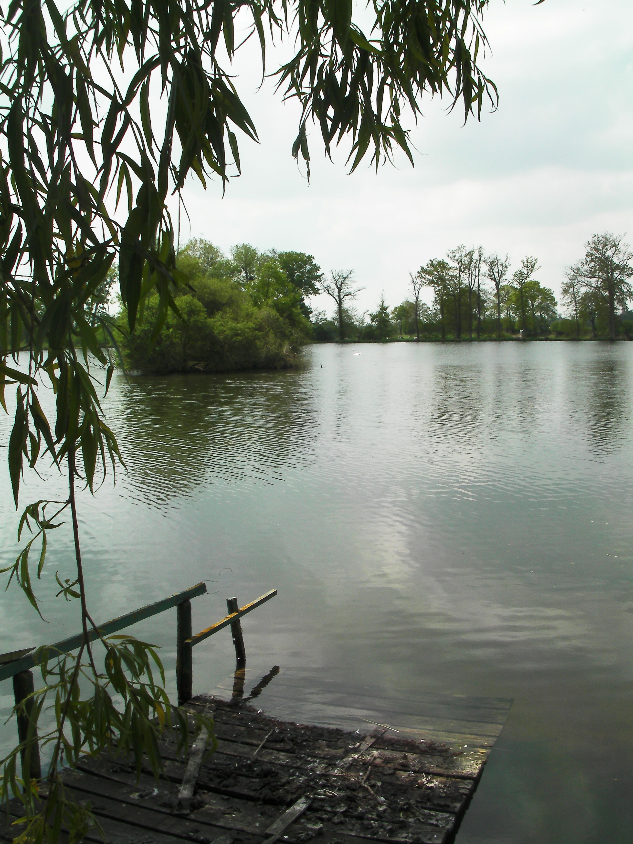 Etang 3.jpg