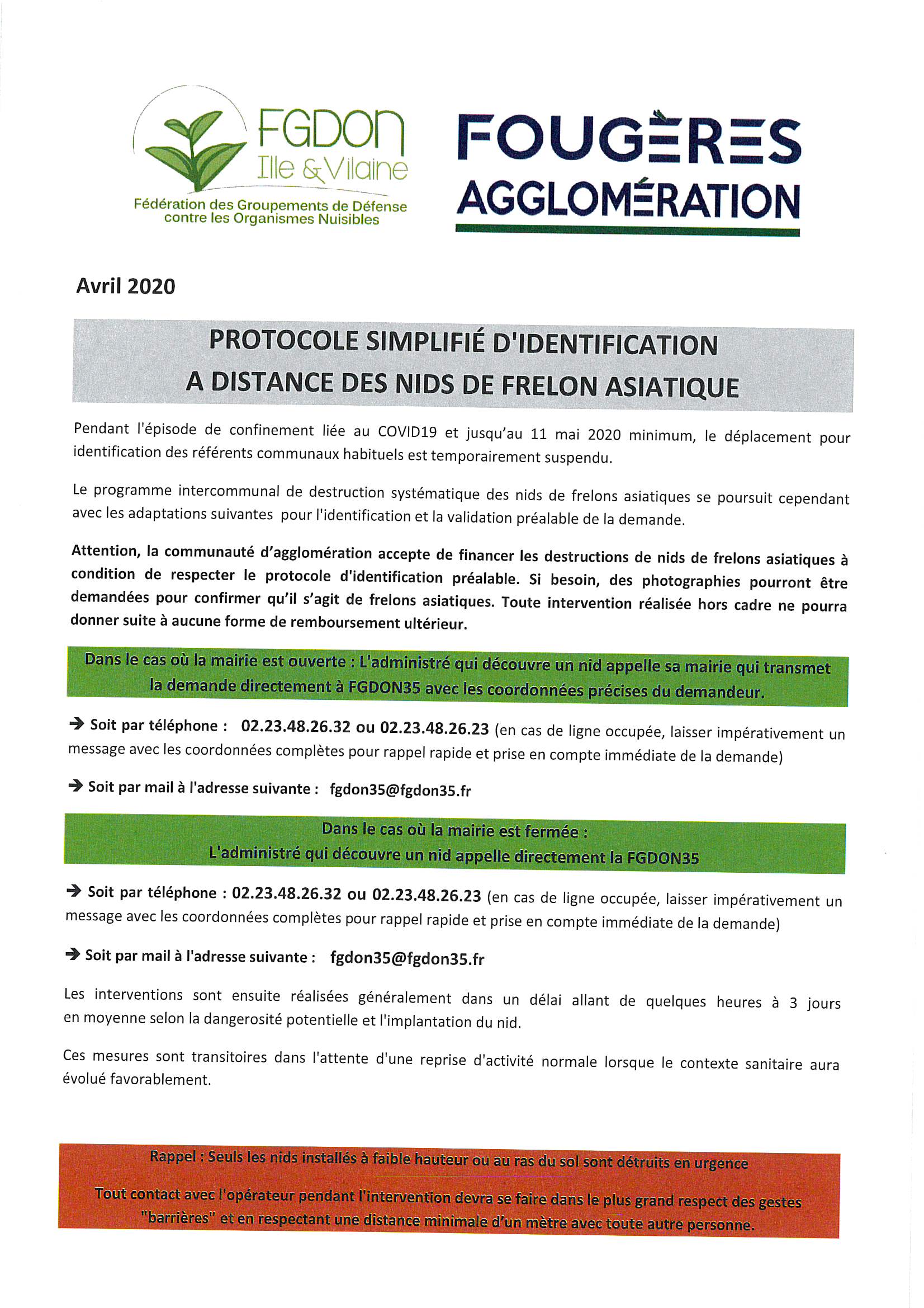 frelons asiatiques.jpg