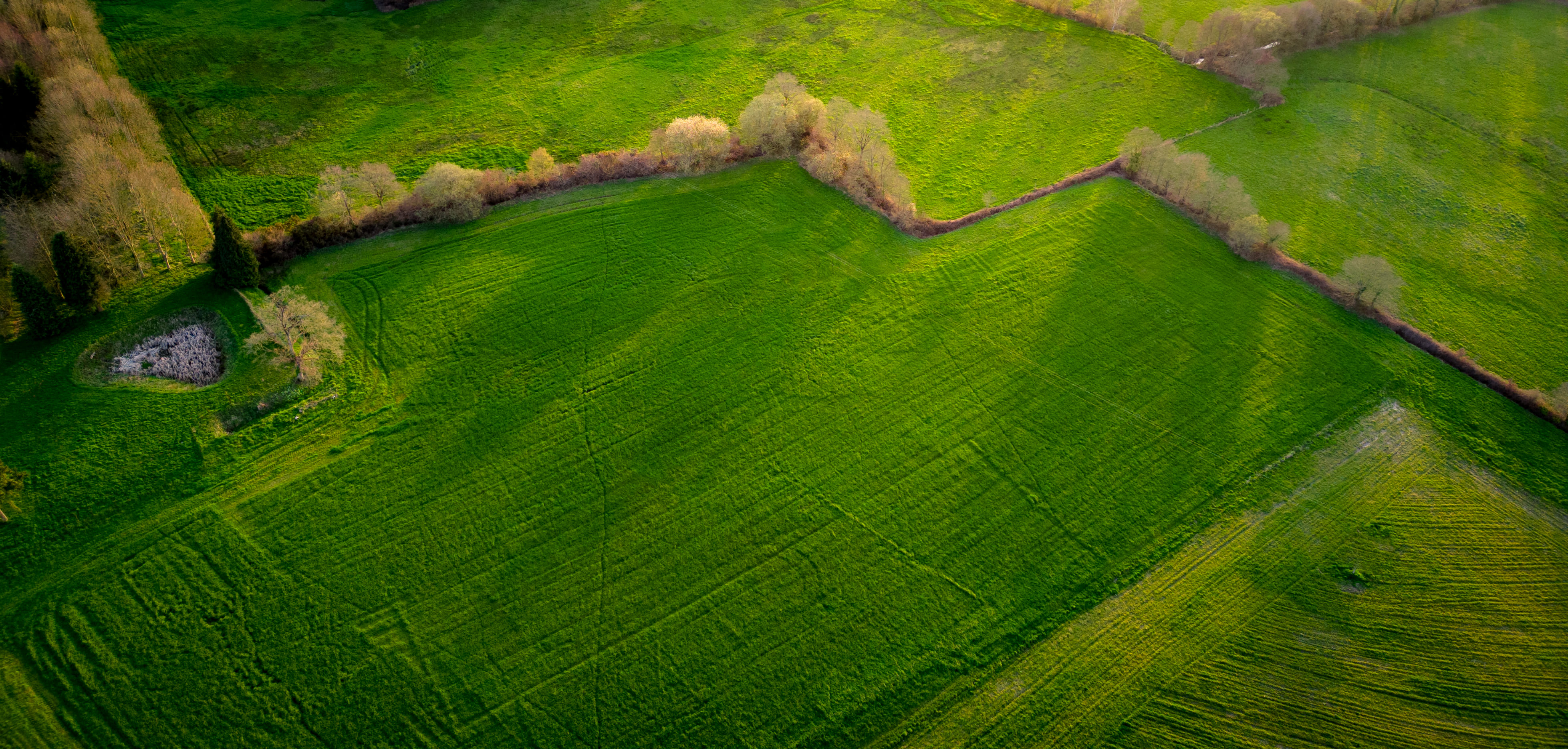 DJI_0202.jpg