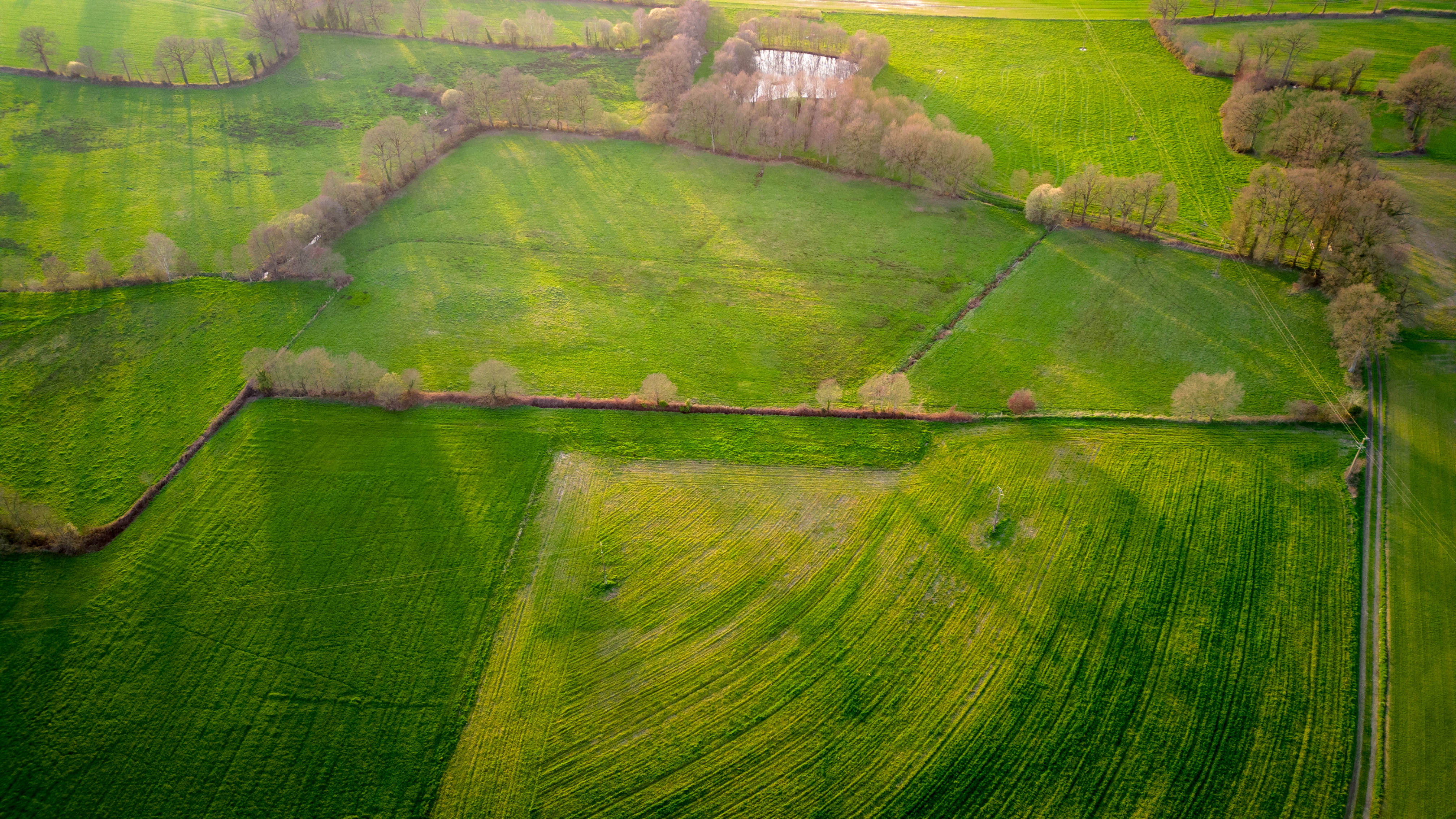 DJI_0203.jpg