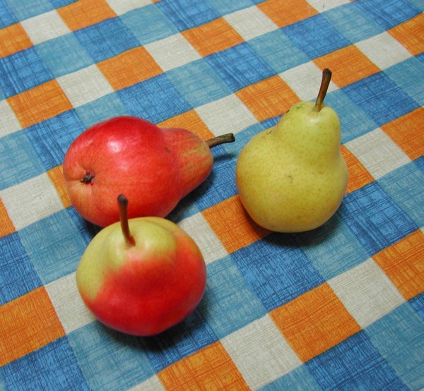 fruit_poires_Monica Arellano-Ongpin.jpg