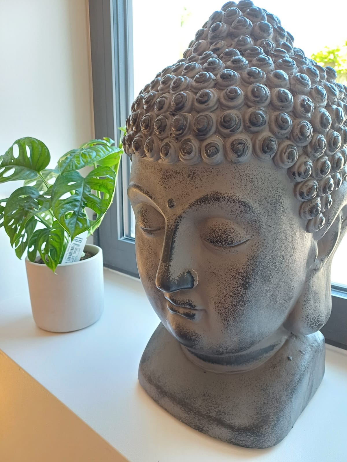 BEAUTE HOLISTIQUE _4_.jpeg