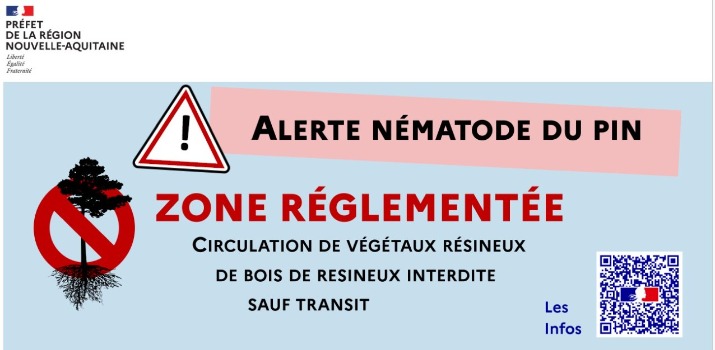Nématode Pin déchetteries.jpg