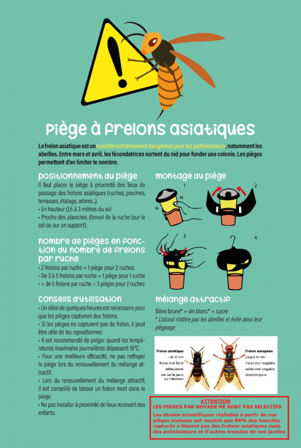 FRELONS ASIATIQUES PIEGEAGE 2026.png