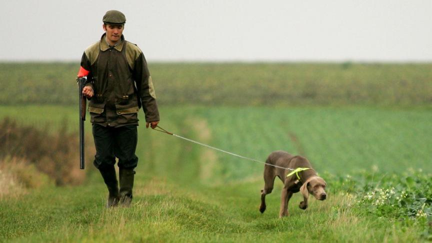 chasse.jpg