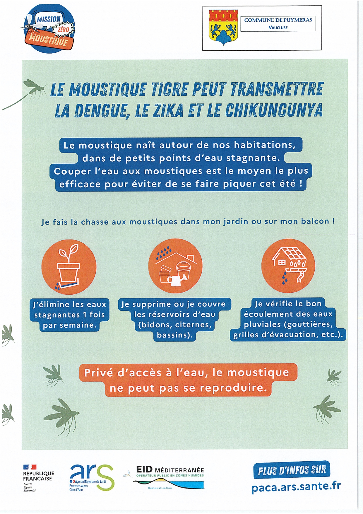 MOUSTIQUE TIGRE