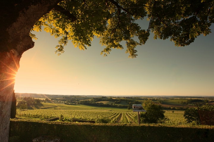 paysage-vignoble-gaillacois-toscane-occitane-720x0.jpg