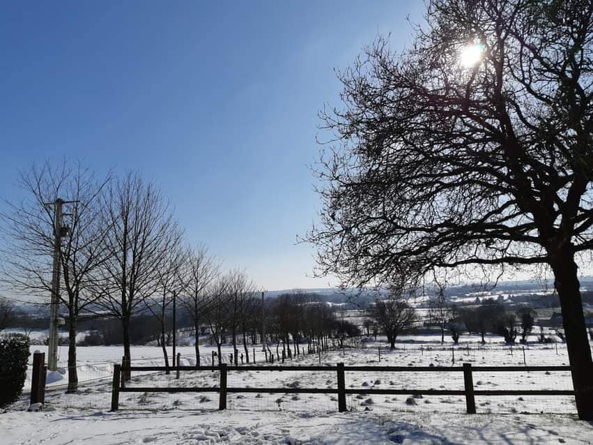 photo nature boquého 2.jpg