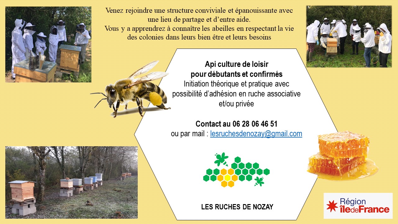 Photo Les Ruches de Nozay pour site internet.jpg
