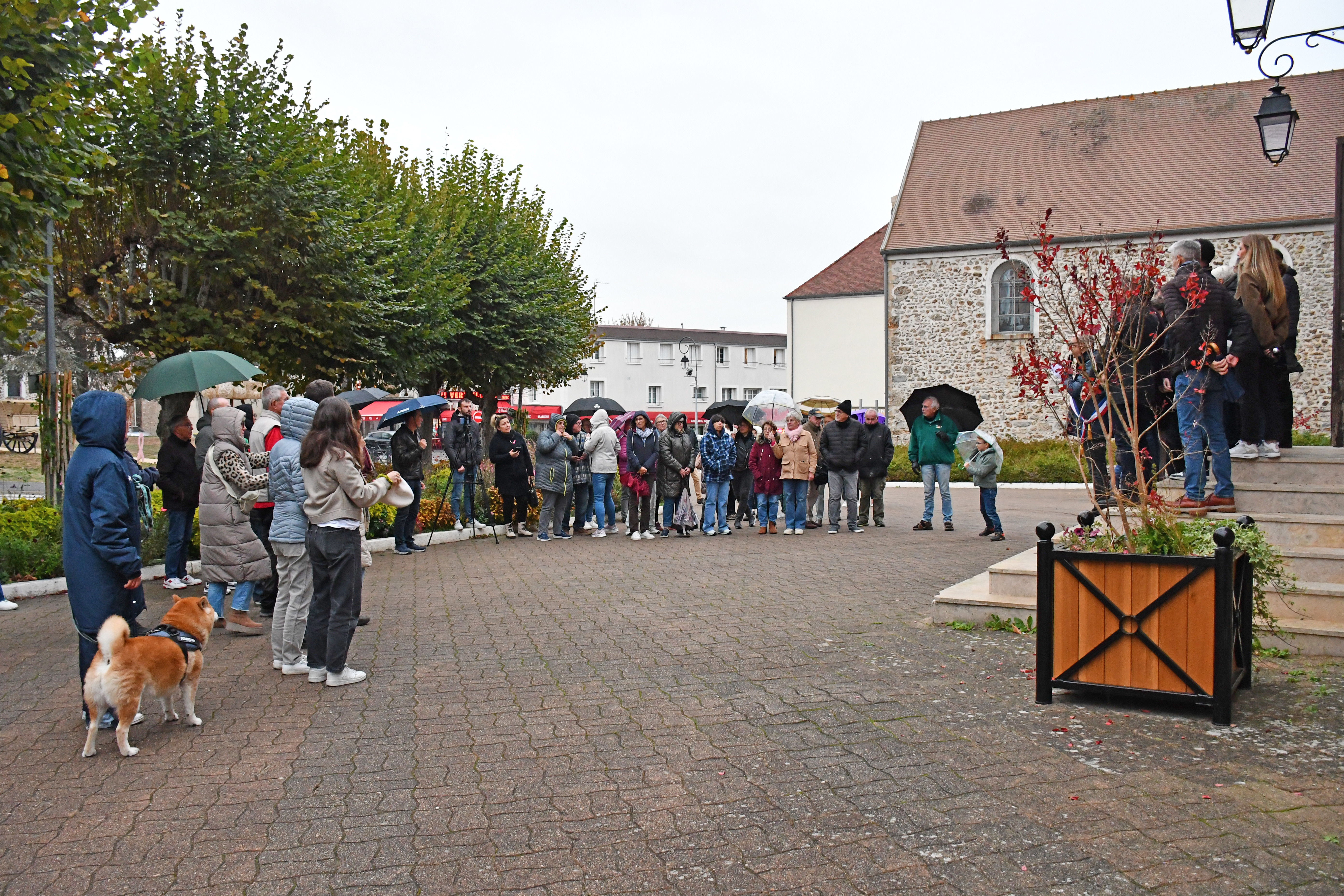 DSC_0447.JPG