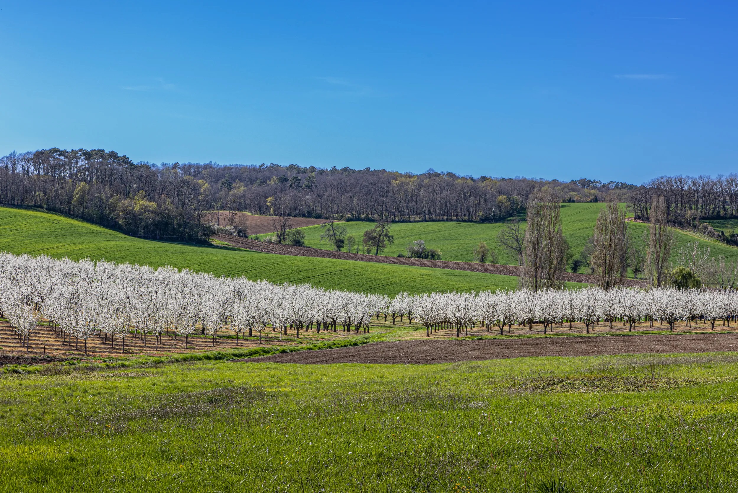 CC Pays de Duras bandeau 2.jpg