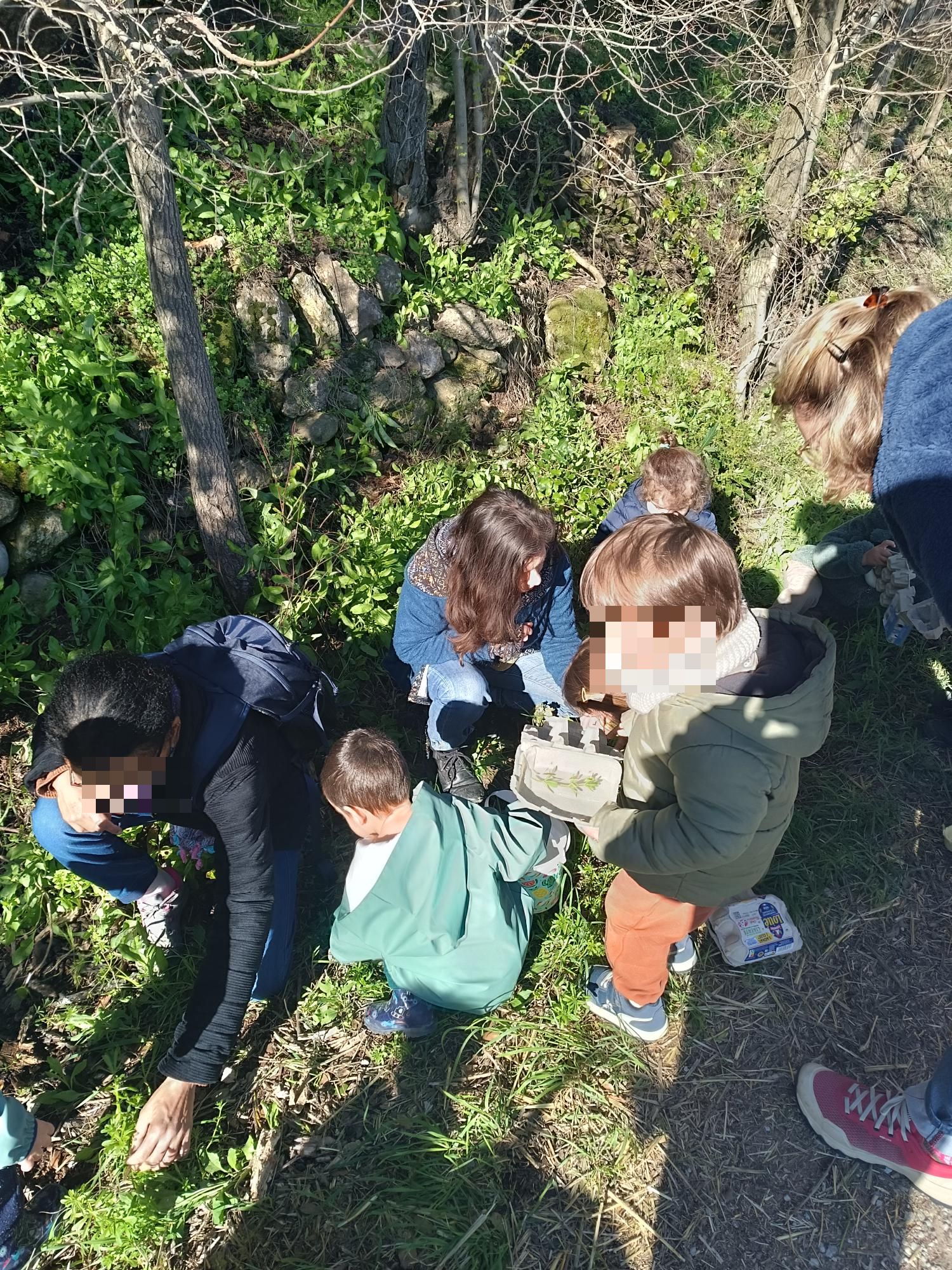 balade nature saint dré _2_.jpg