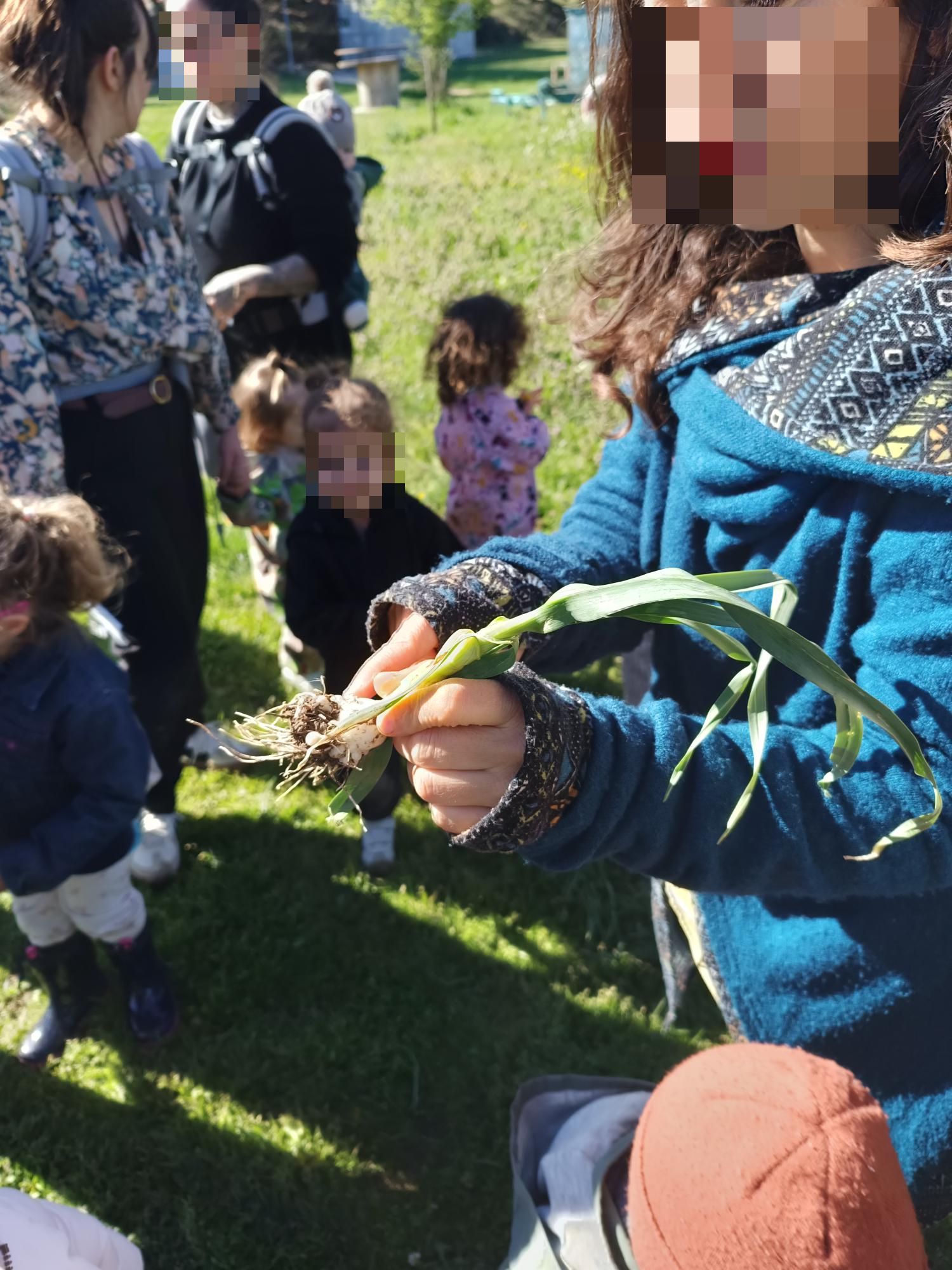 balade nature sussargues _1_.jpg