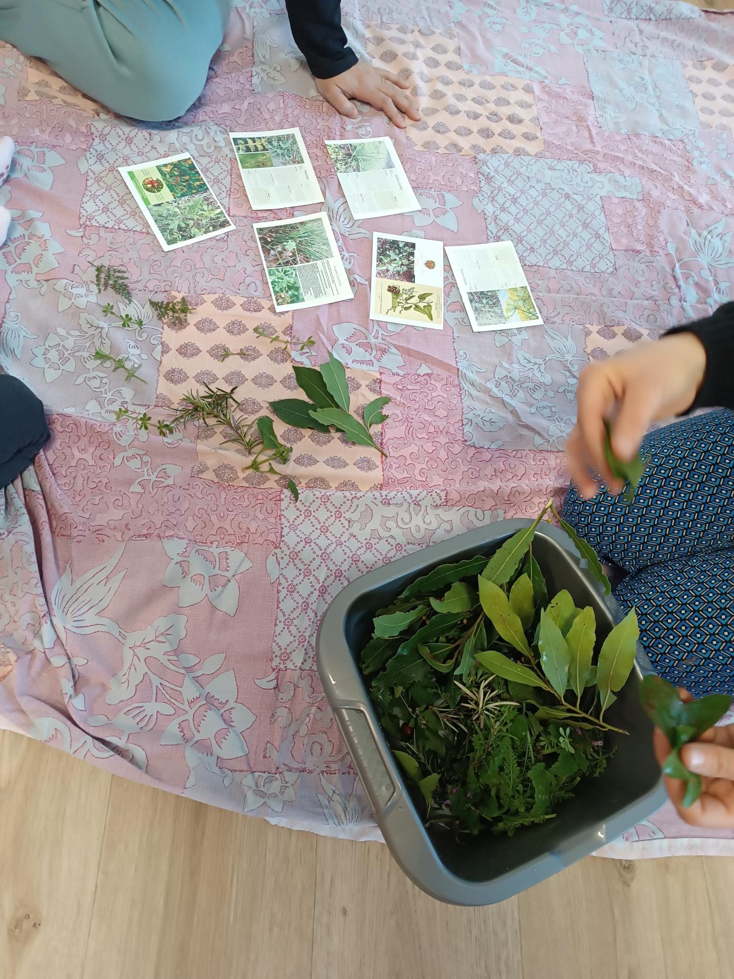 ACTIVITE MANUELLE RESTIN _4_.jpg