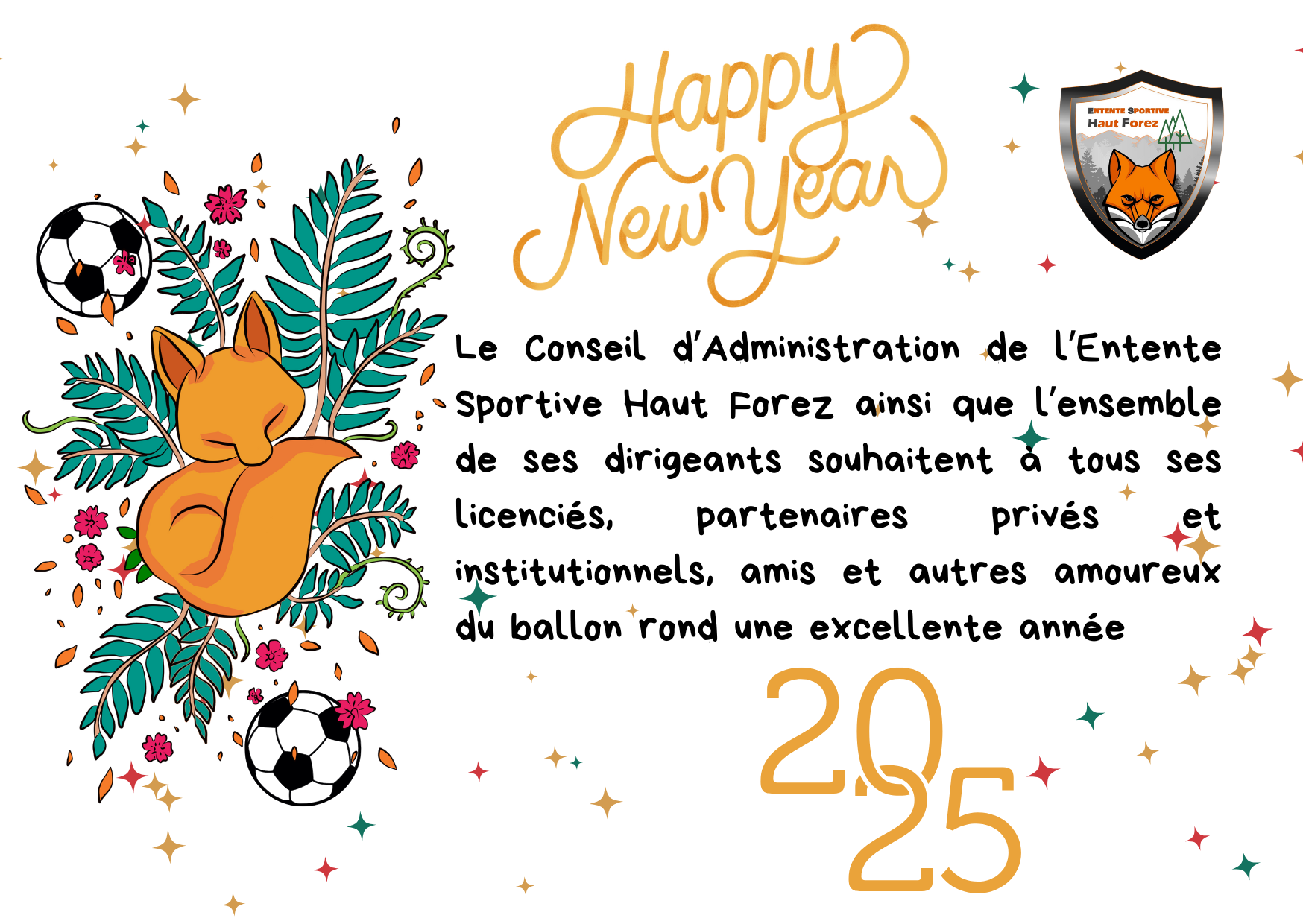 Voeux 2025 ESHF.png