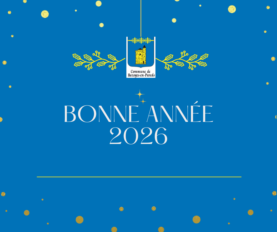 bonne année site internet.png