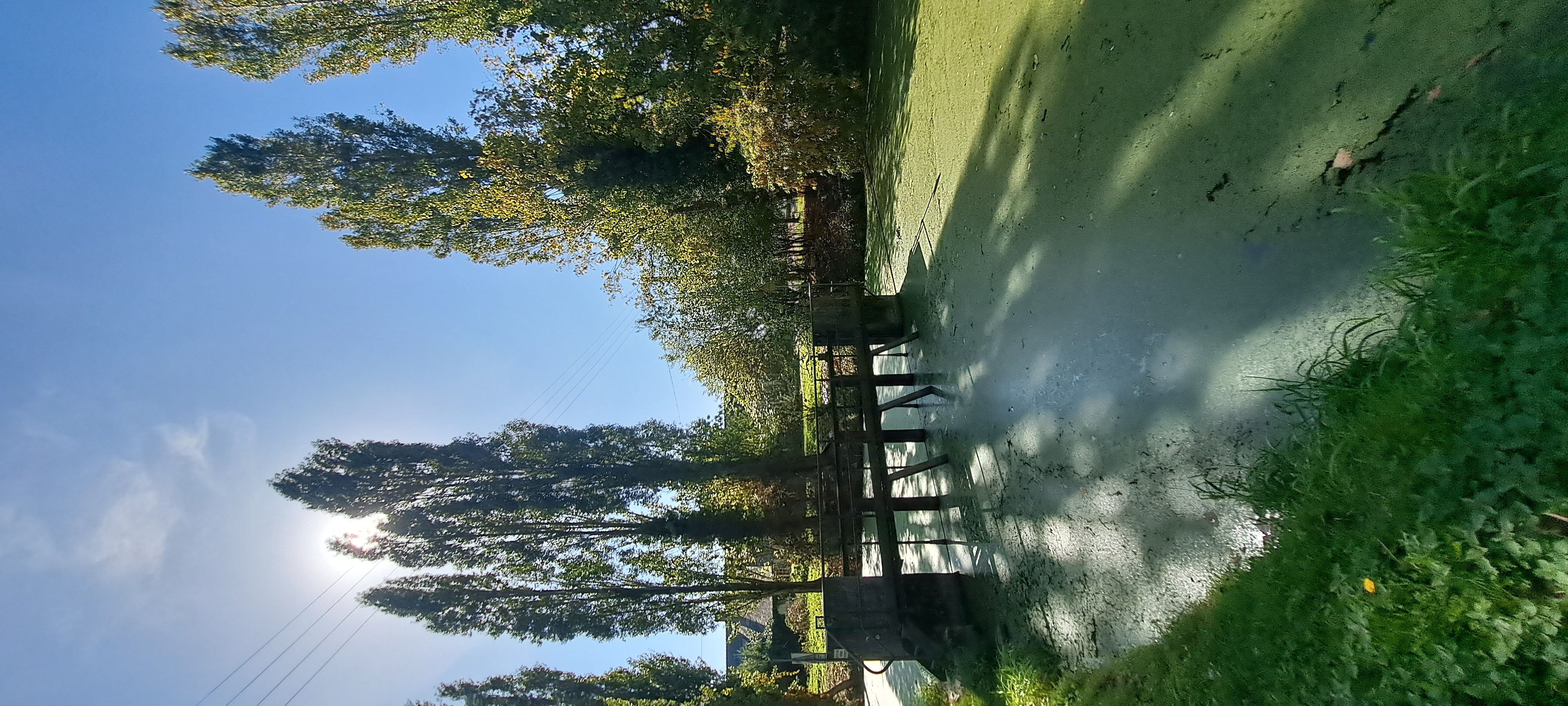 20231009_143026.jpg