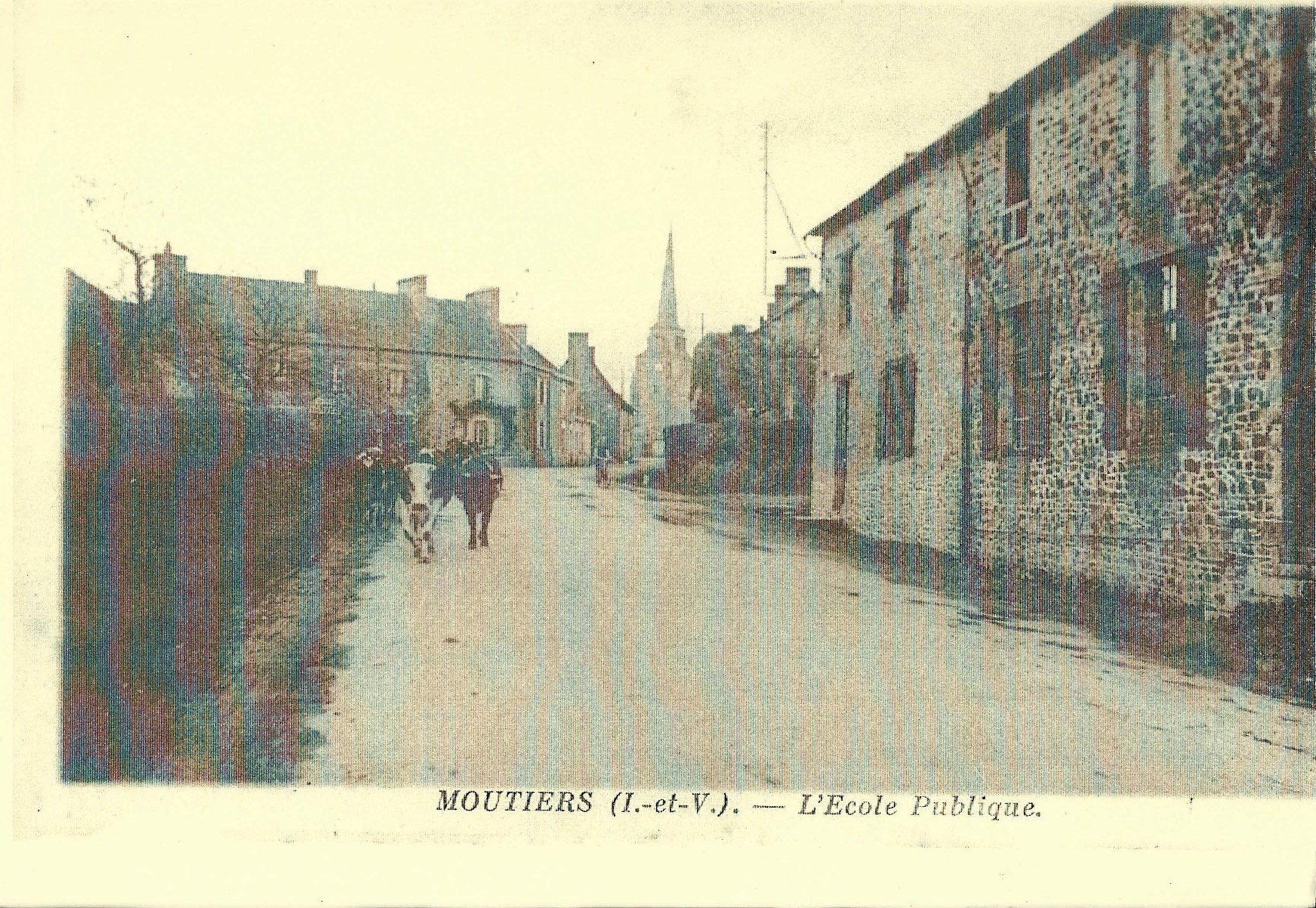 scan0005-page-001.jpg