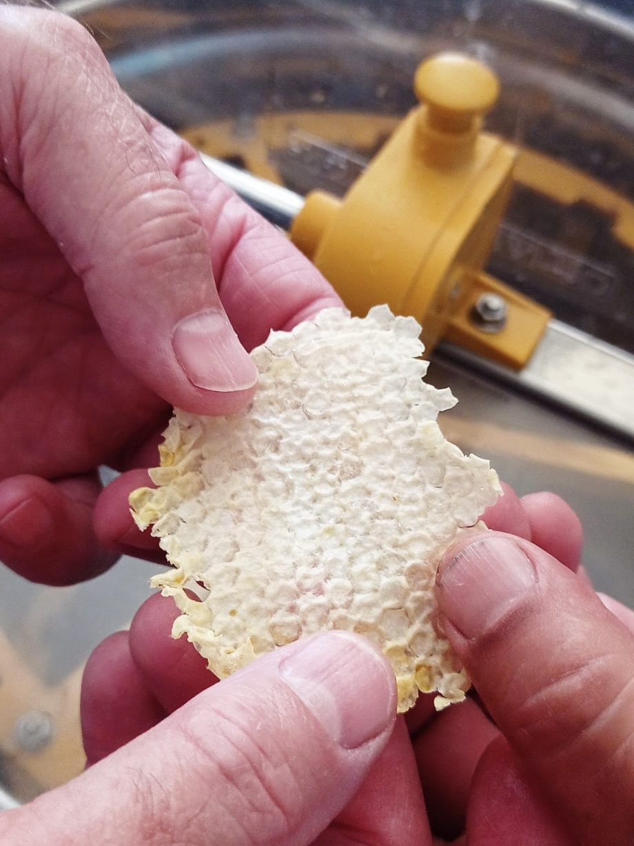 220715_Récolte miel07.jpeg