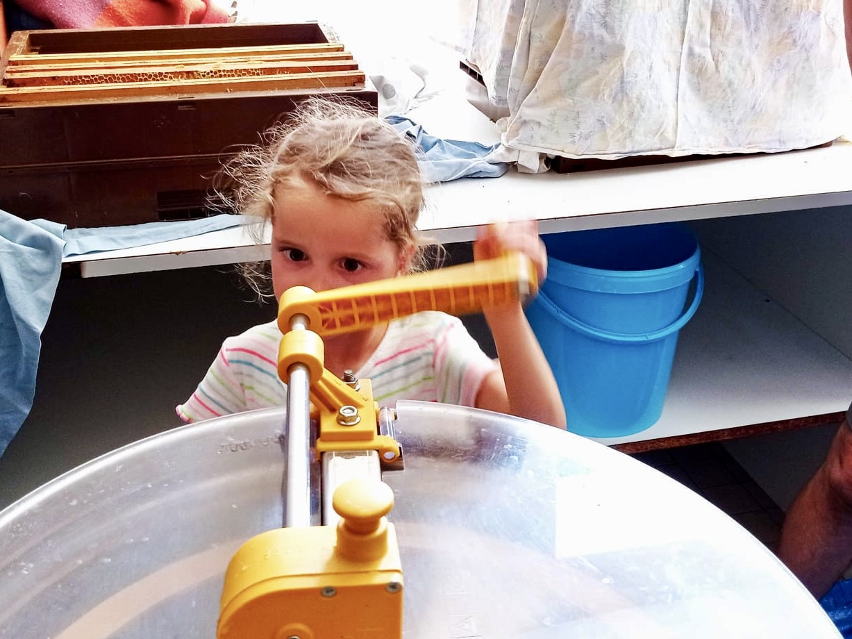 220715_Récolte miel13.jpeg