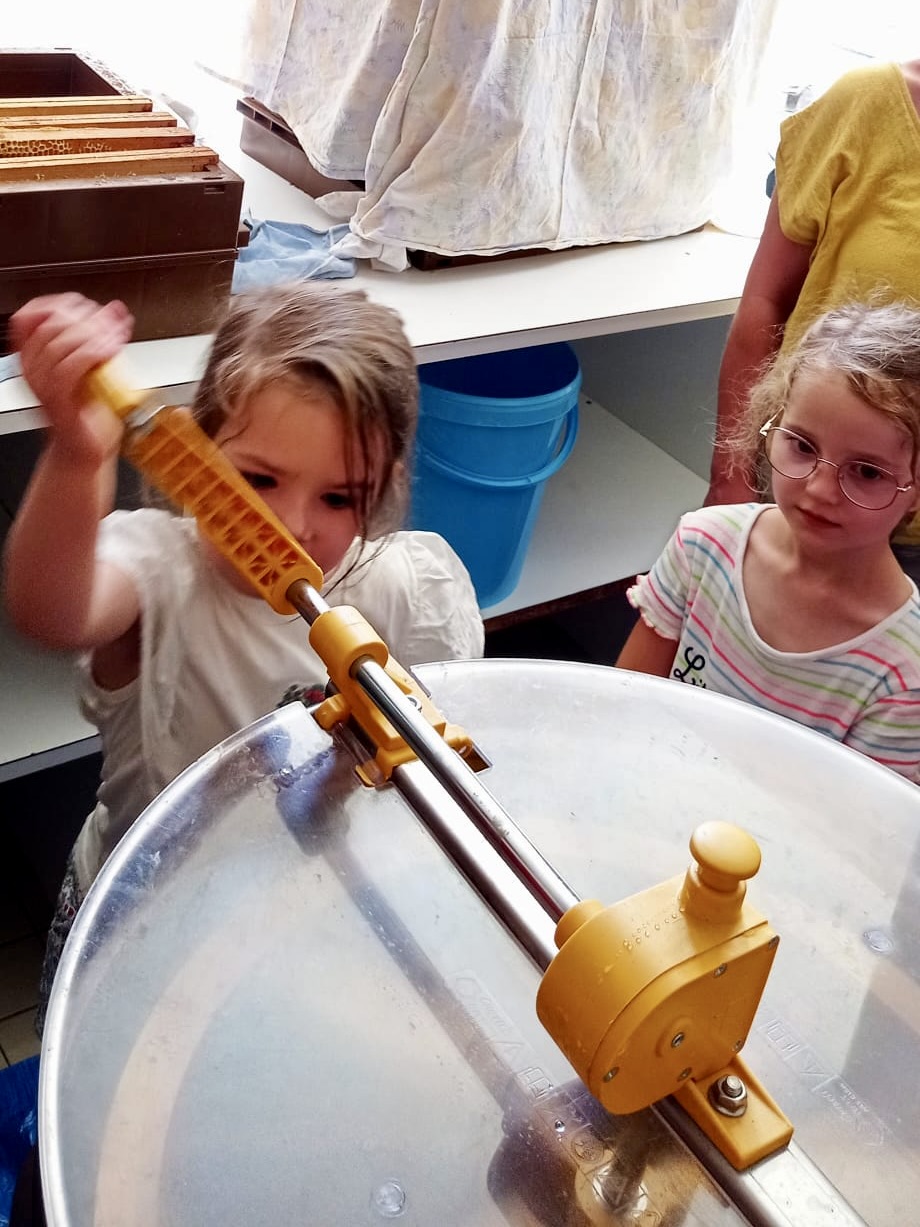 220715_Récolte miel15.jpeg