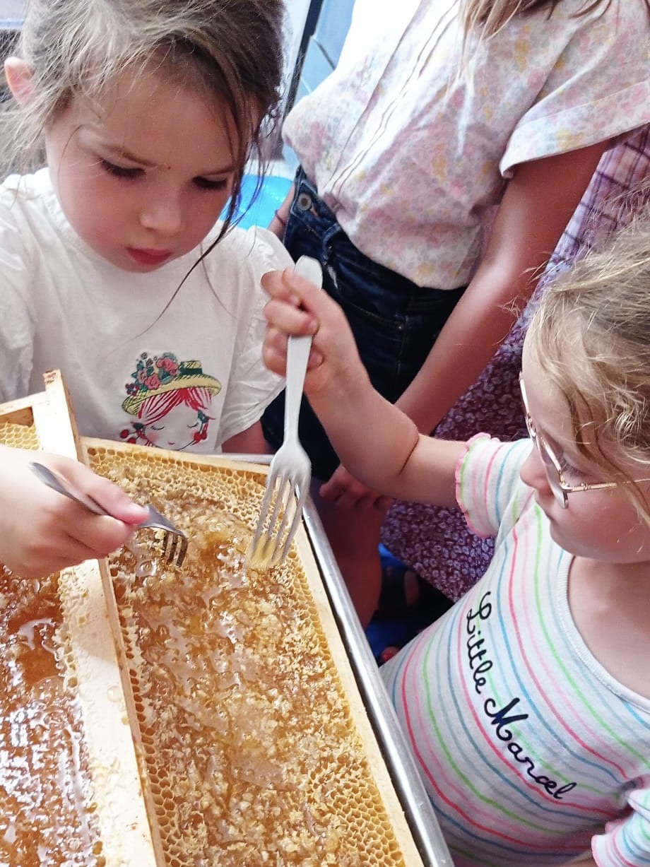 220715_Récolte miel12.jpeg
